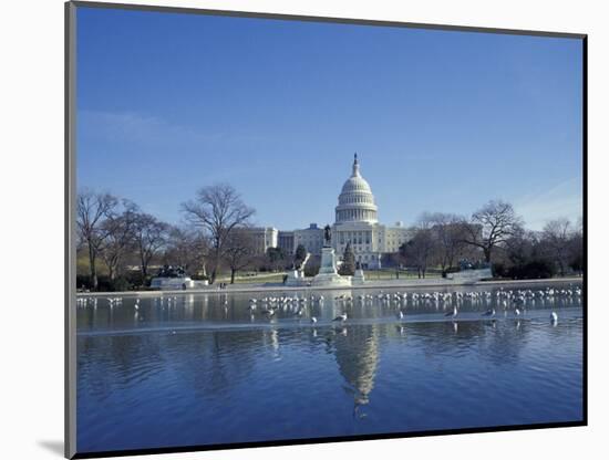 Capitol from across Capitol Reflecting Pool, Washington DC, USA-Michele Molinari-Mounted Photographic Print