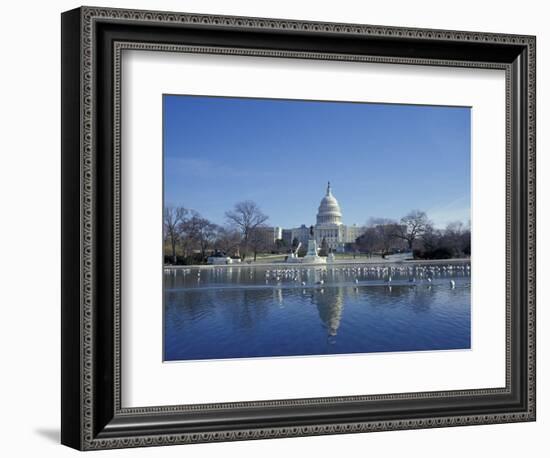 Capitol from across Capitol Reflecting Pool, Washington DC, USA-Michele Molinari-Framed Photographic Print