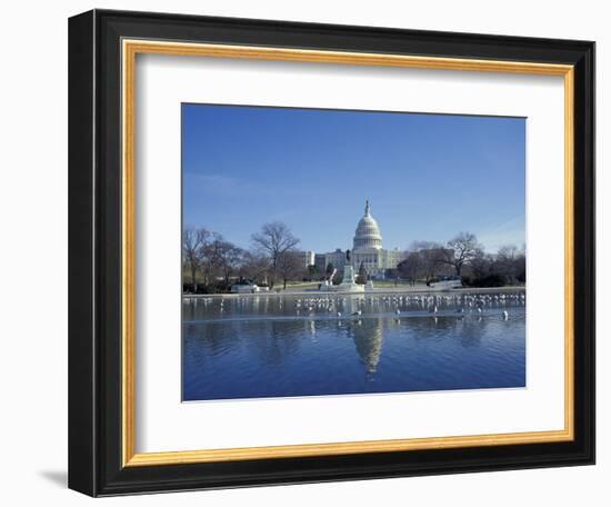 Capitol from across Capitol Reflecting Pool, Washington DC, USA-Michele Molinari-Framed Photographic Print