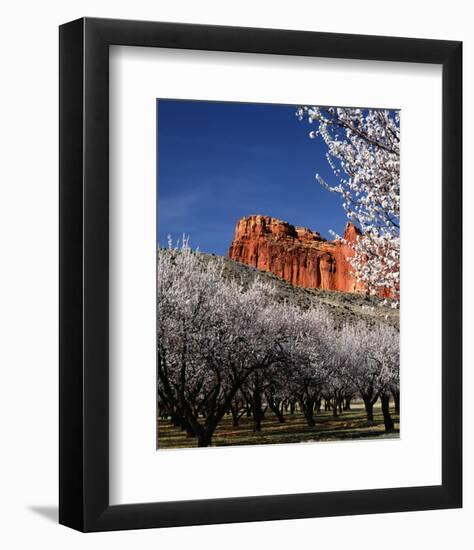 Capitol Reef-Ike Leahy-Framed Photo