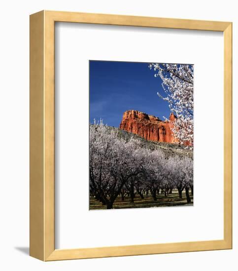 Capitol Reef-Ike Leahy-Framed Photo