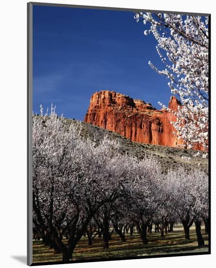 Capitol Reef-Ike Leahy-Mounted Photo