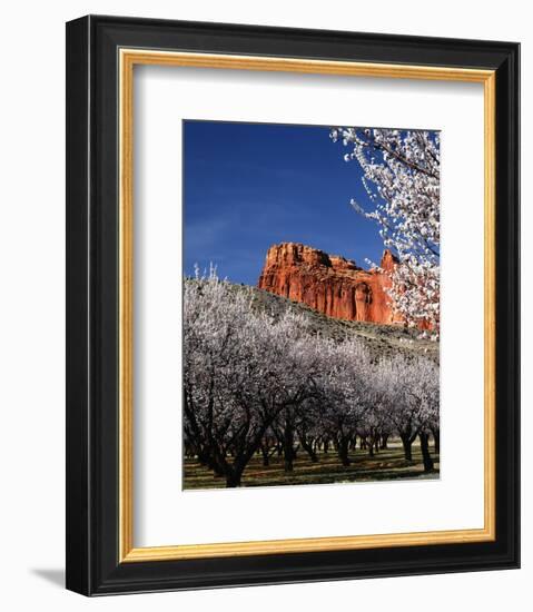 Capitol Reef-Ike Leahy-Framed Photo