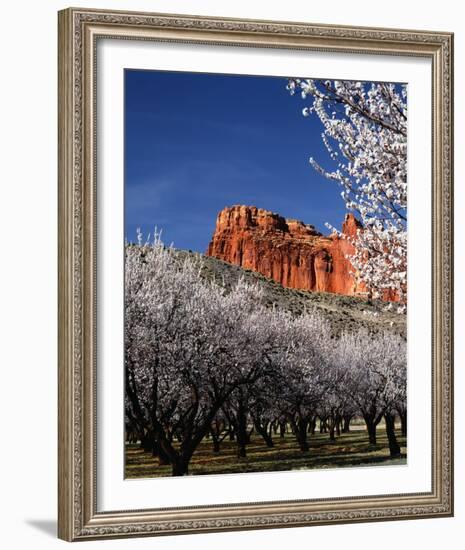 Capitol Reef-Ike Leahy-Framed Photo