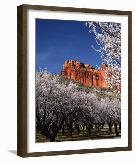 Capitol Reef-Ike Leahy-Framed Photo