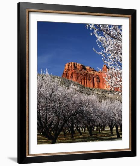 Capitol Reef-Ike Leahy-Framed Photo