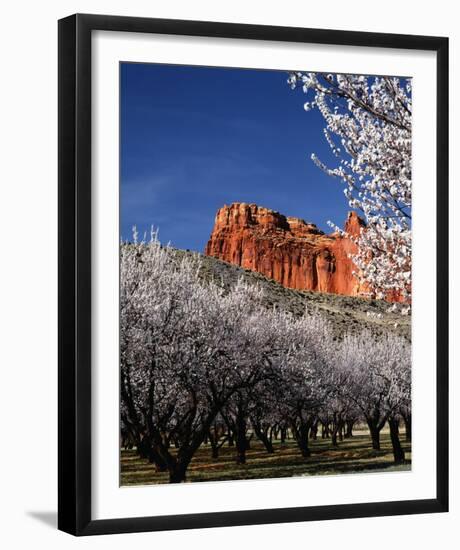 Capitol Reef-Ike Leahy-Framed Photo