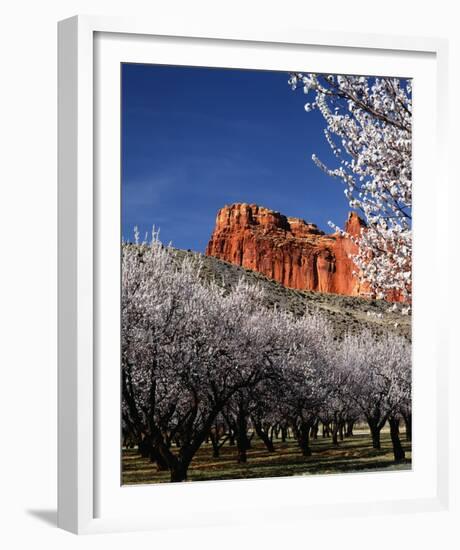 Capitol Reef-Ike Leahy-Framed Photo