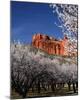 Capitol Reef-Ike Leahy-Mounted Photo