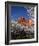 Capitol Reef-Ike Leahy-Framed Photo