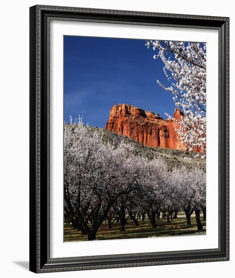 Capitol Reef-Ike Leahy-Framed Photo