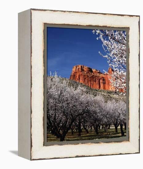 Capitol Reef-Ike Leahy-Framed Stretched Canvas