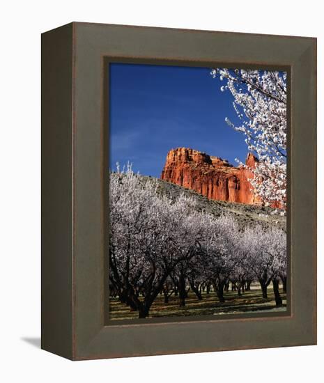 Capitol Reef-Ike Leahy-Framed Stretched Canvas