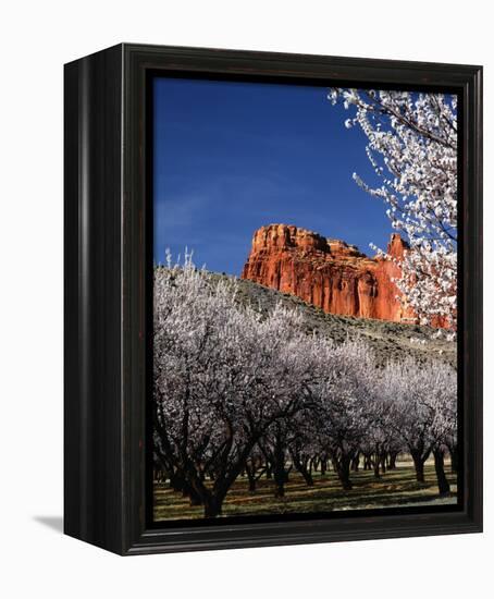 Capitol Reef-Ike Leahy-Framed Stretched Canvas