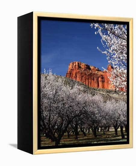 Capitol Reef-Ike Leahy-Framed Stretched Canvas