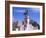 Capitol Square, Richmond, Virginia-Lynn Seldon-Framed Photographic Print