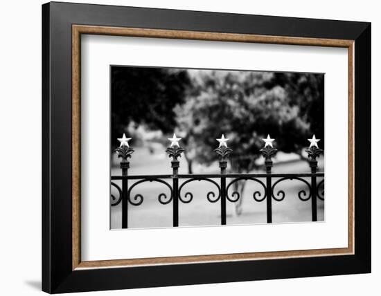 Capitol Stars 2-John Gusky-Framed Photographic Print
