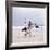 Capoeira And Yoga-Tony McConnell-Framed Photographic Print