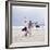 Capoeira And Yoga-Tony McConnell-Framed Photographic Print