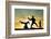 Capoeira At Sunset-sognolucido-Framed Photographic Print