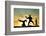 Capoeira At Sunset-sognolucido-Framed Photographic Print