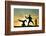 Capoeira At Sunset-sognolucido-Framed Photographic Print