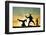 Capoeira At Sunset-sognolucido-Framed Photographic Print