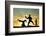 Capoeira At Sunset-sognolucido-Framed Photographic Print