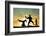 Capoeira At Sunset-sognolucido-Framed Photographic Print