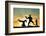 Capoeira At Sunset-sognolucido-Framed Photographic Print