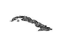 Typographic Cuba-CAPow-Art Print