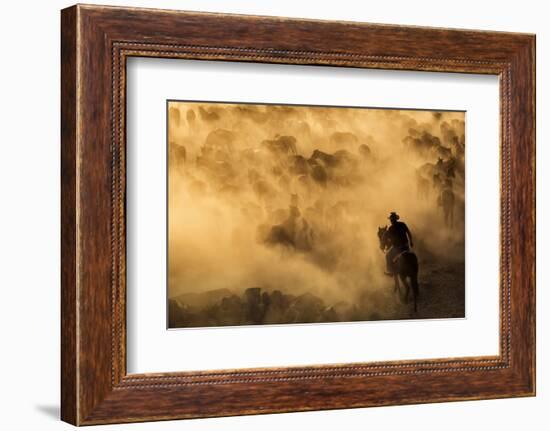 Cappadocia wild horses-Dan Mirica-Framed Photographic Print