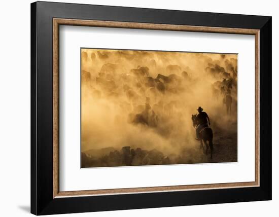 Cappadocia wild horses-Dan Mirica-Framed Photographic Print