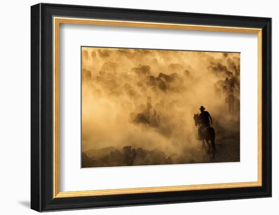 Cappadocia wild horses-Dan Mirica-Framed Photographic Print