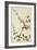 Capparis Zeylanica Linn, 1800-10-null-Framed Giclee Print