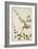 Capparis Zeylanica Linn, 1800-10-null-Framed Giclee Print