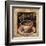 Cappuccino-Todd Williams-Framed Art Print