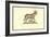 Capra Humana Facie-Ulisse Aldrovandi-Framed Art Print