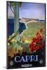 Capri Italia-Vintage Apple Collection-Mounted Giclee Print