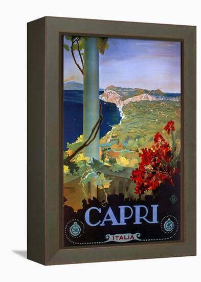 Capri Italia-Vintage Apple Collection-Framed Premier Image Canvas