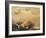 Capriccio Scene: Animals in the Sky-Francisco de Goya-Framed Giclee Print