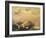 Capriccio Scene: Animals in the Sky-Francisco de Goya-Framed Giclee Print