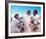 Capricorn One-null-Framed Photo