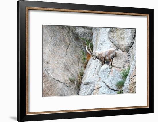 Capricorn-Reiner Bernhardt-Framed Photographic Print