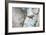 Capricorn-Reiner Bernhardt-Framed Photographic Print