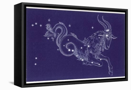 Capricorn-Roberta Norton-Framed Premier Image Canvas