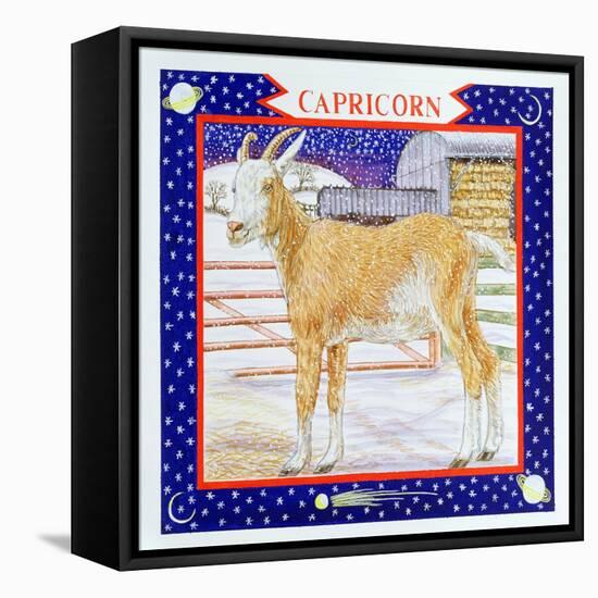 Capricorn-Catherine Bradbury-Framed Premier Image Canvas