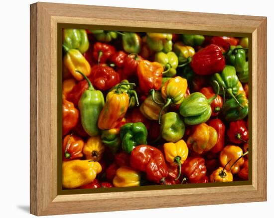 Capsicums at Brixton Market, Brixton, London, England-Neil Setchfield-Framed Premier Image Canvas