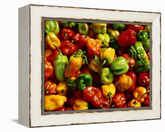 Capsicums at Brixton Market, Brixton, London, England-Neil Setchfield-Framed Premier Image Canvas