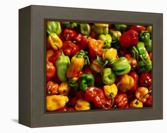 Capsicums at Brixton Market, Brixton, London, England-Neil Setchfield-Framed Premier Image Canvas